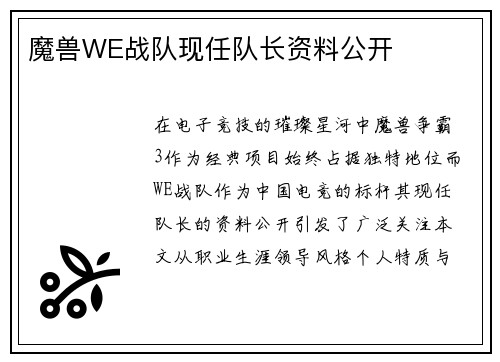 魔兽WE战队现任队长资料公开